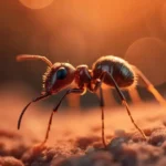 What do ants symbolize in a dream?
