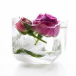how to make rose water at home